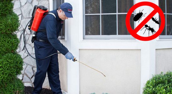 Yağlıdere Kemirgen İlaçlama böcek ilaçlama ve haşere kontrolü — ilaclama-tr.com